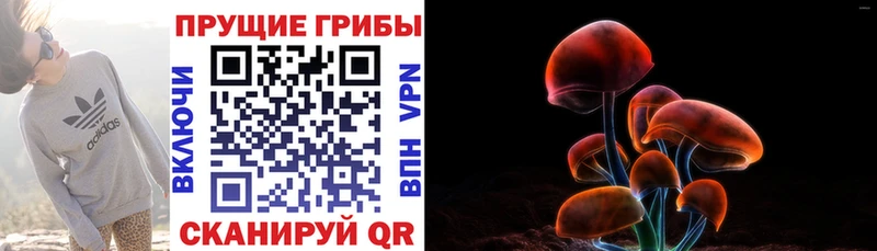 ОМГ ОМГ tor  Онега  Галлюциногенные грибы Psilocybe 